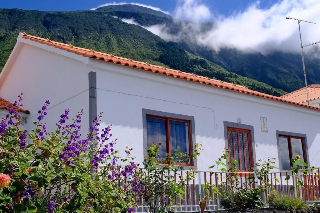 Sunflower Guest House - Madalena - Pico Sao Caetano  Exteriér fotografie