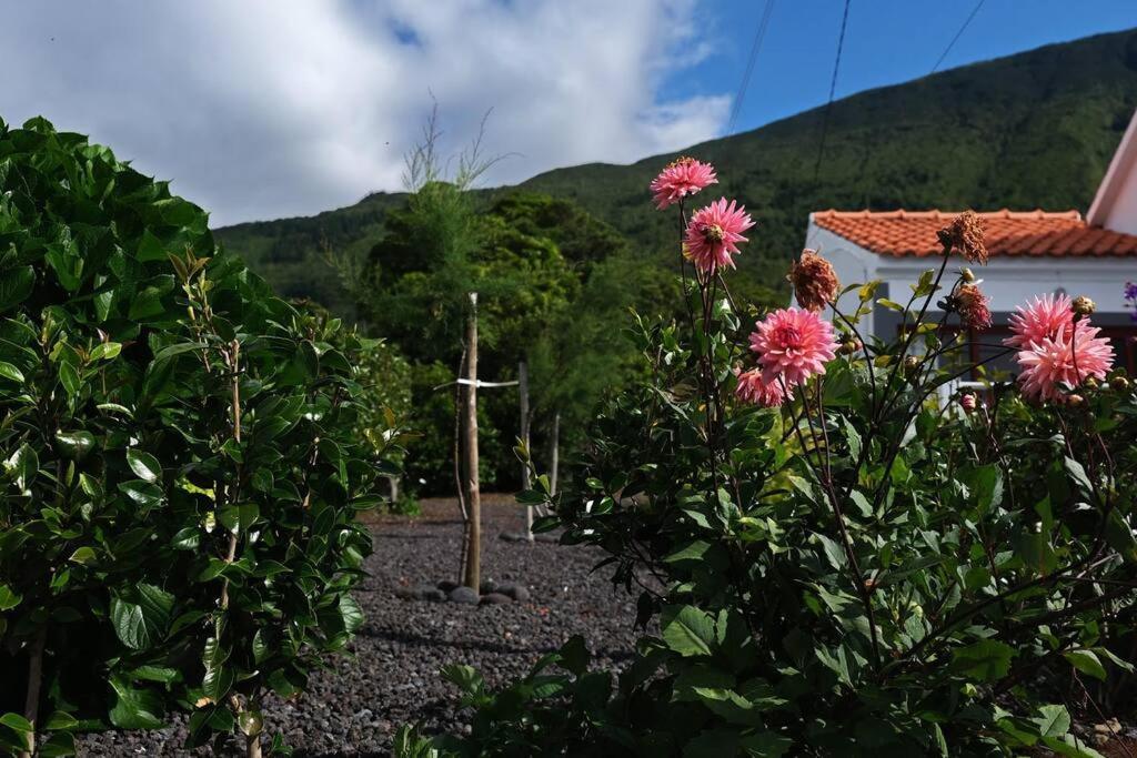 Sunflower Guest House - Madalena - Pico Sao Caetano  Exteriér fotografie