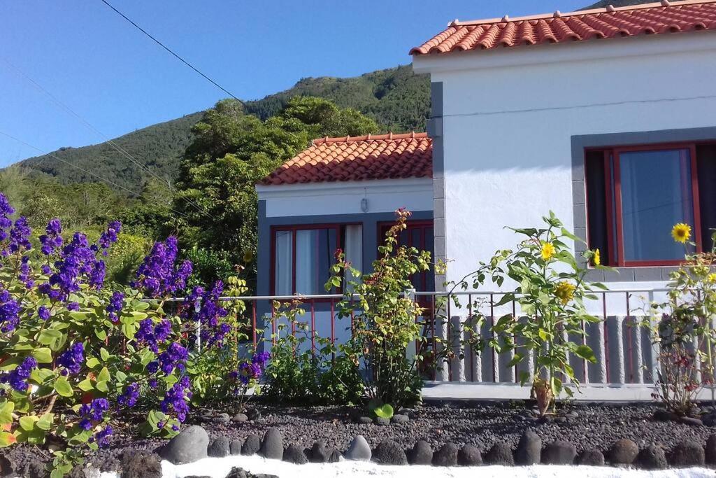 Sunflower Guest House - Madalena - Pico Sao Caetano  Exteriér fotografie