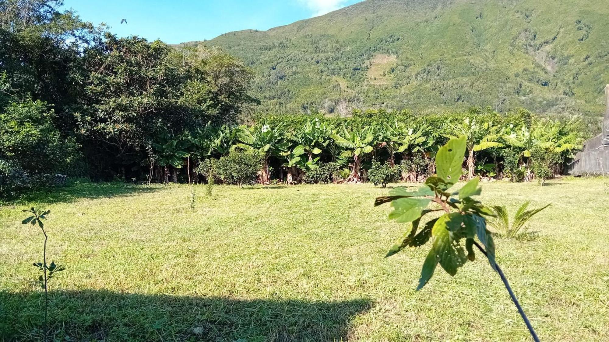 Sunflower Guest House - Madalena - Pico Sao Caetano  Exteriér fotografie